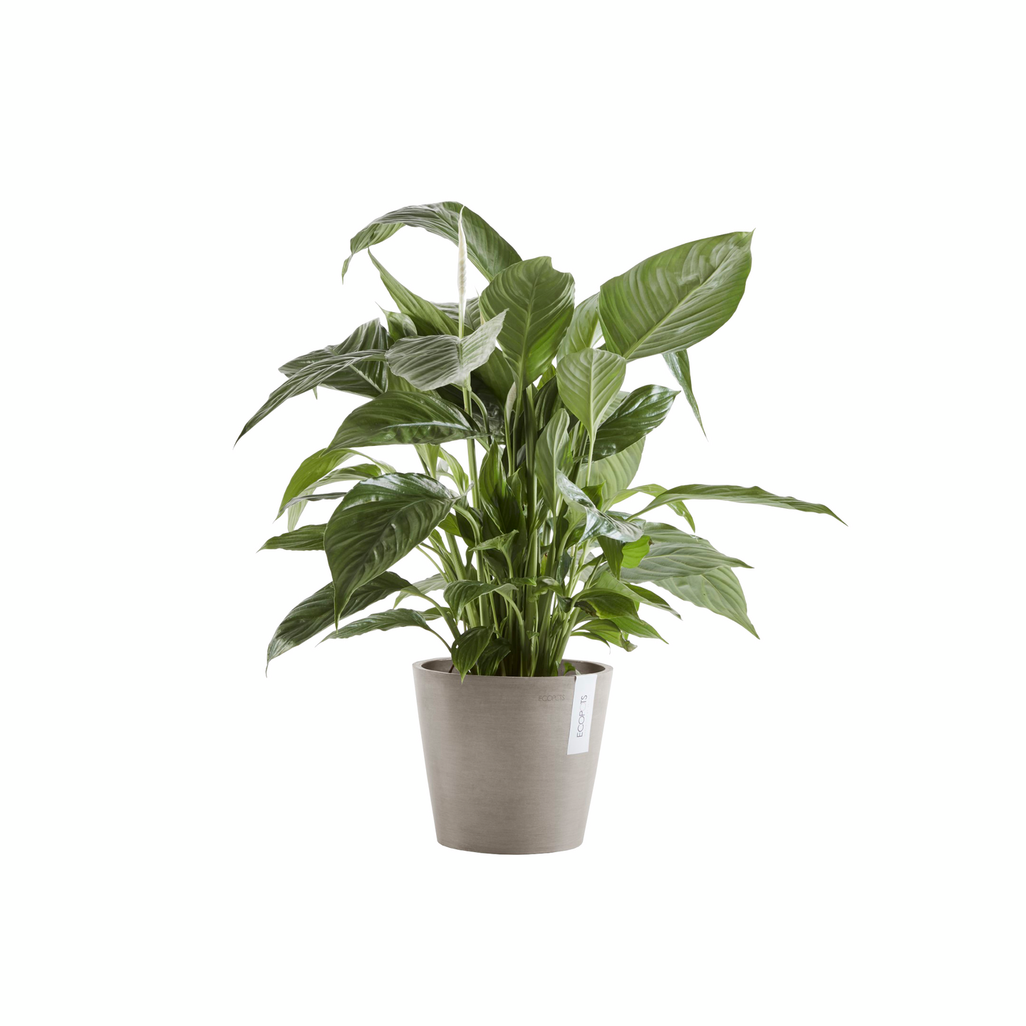 Ruukku Ecopots Amsterdam 25cm taupe